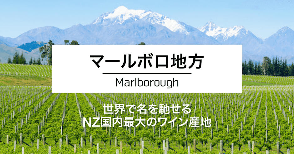 マールボロ地方｜世界で名を馳せるNZ国内最大のワイン産地