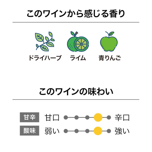 オールド・コーチ・ロード ソーヴィニヨン・ブラン 2024