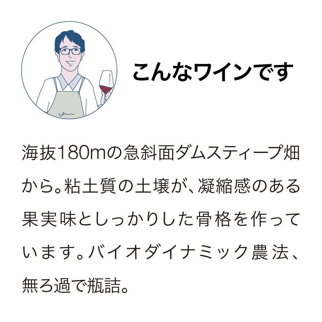 ブラックエステート ダムスティープ ピノ・ノワール 2024