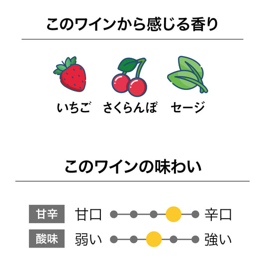 フォレストワインズ ザ・ドクターズ ロゼ 2022