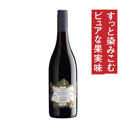 テラ・サンクタ ミステリアス・ディギングス ピノ・ノワール 2023
