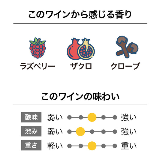 テラ・サンクタ ミステリアス・ディギングス ピノ・ノワール 2023