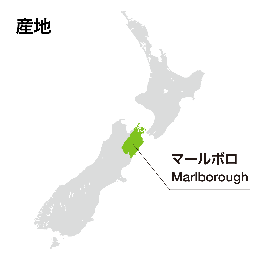 Blank Canvas Escalos Vineyard Pinot Noir 2020