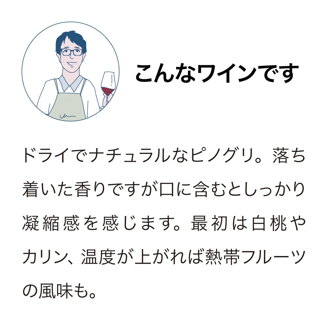 ブラックエステート スカイパンチ ピノ・グリ 2024
