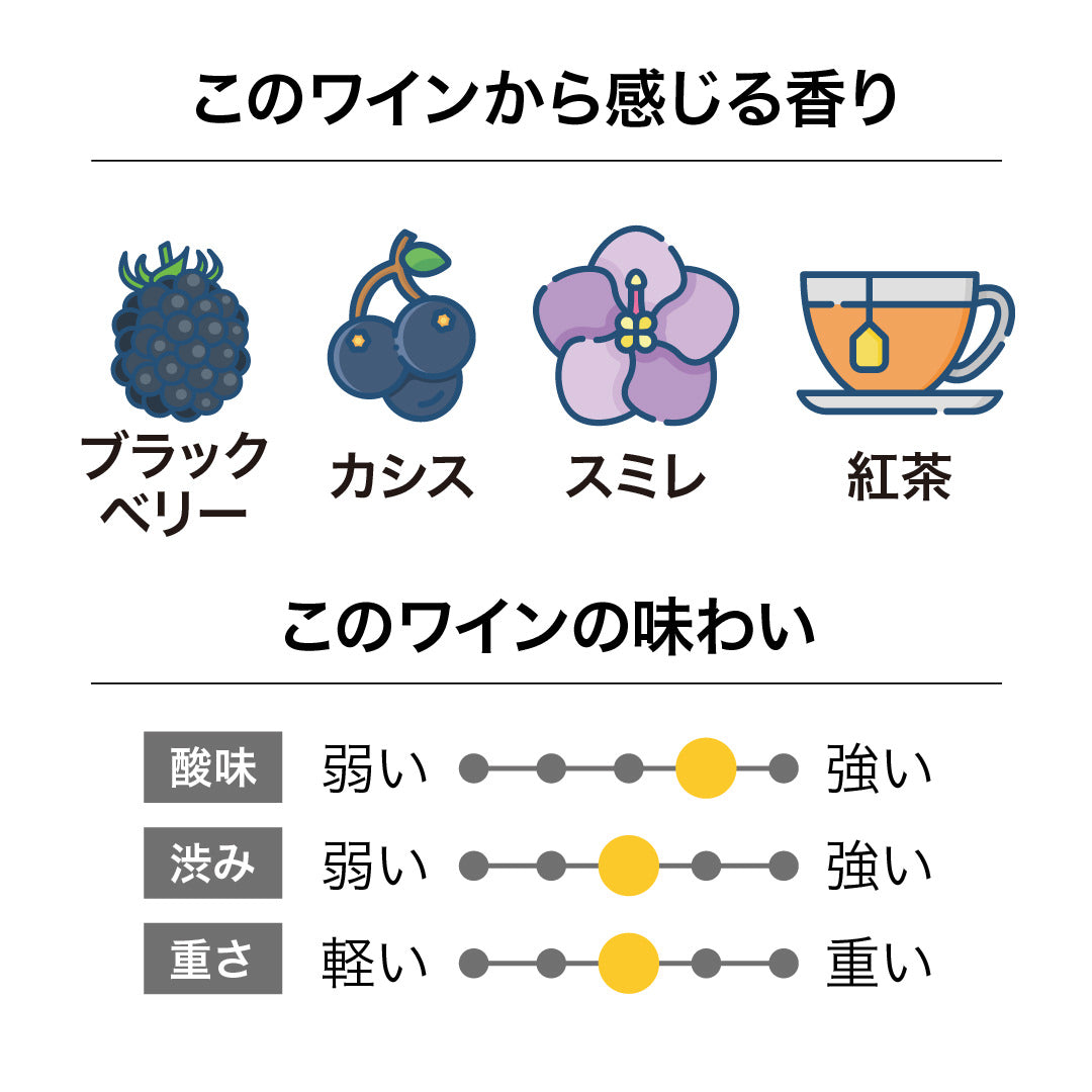 ジャッジ・ロック サン・ローラン 2017