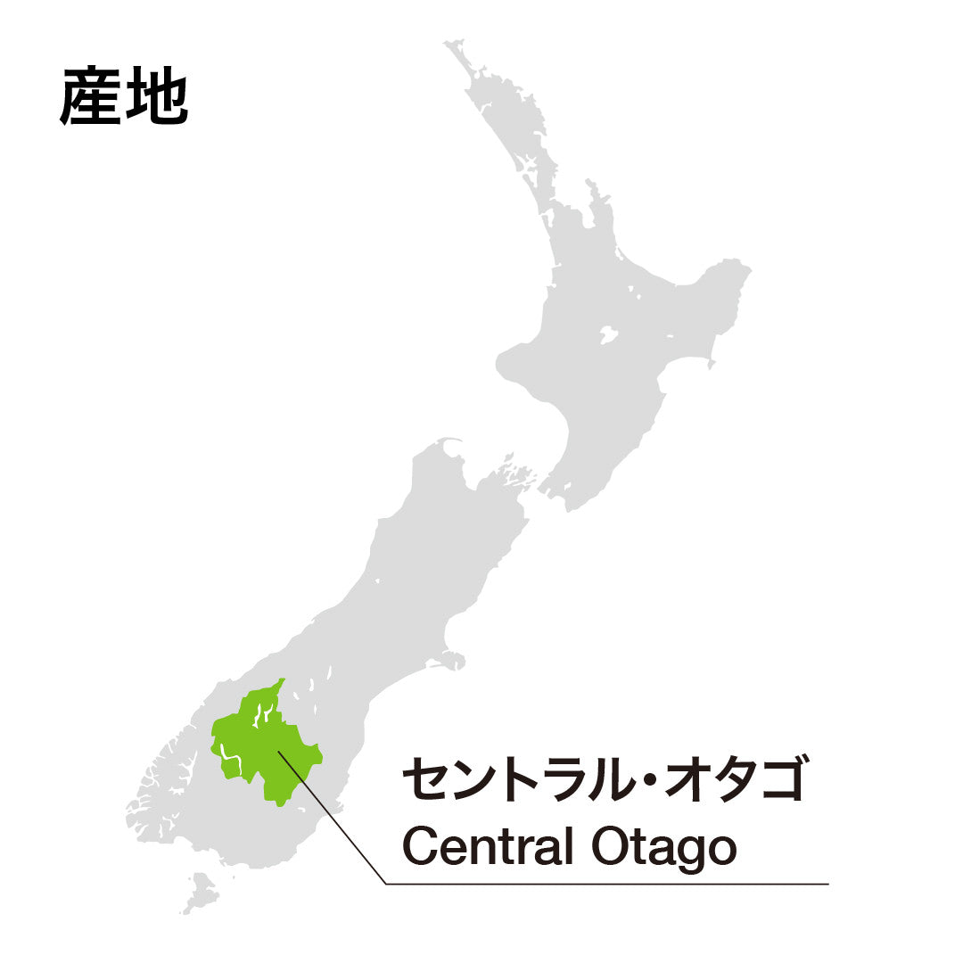 ジャッジ・ロック ヴァーディクト ヴィンテージポート 2022