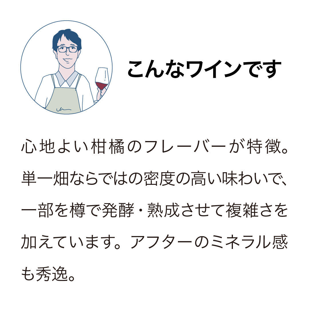 イザベル エステート ヴィンヤード マールボロ ソーヴィニヨン・ブラン シングルヴィンヤード 2024