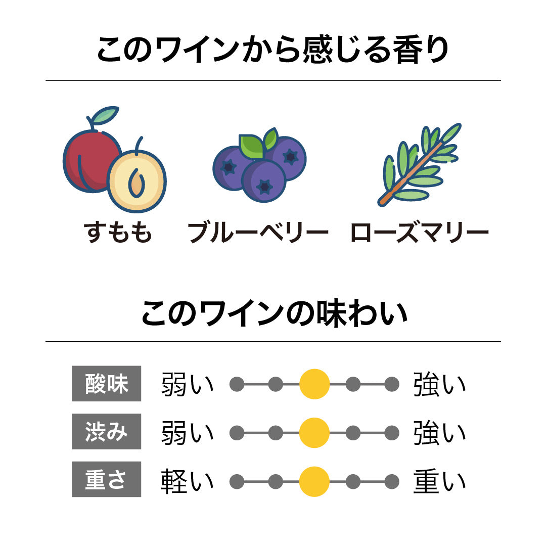 マーティンボロ・ヴィンヤード テ・テラ ピノ・ノワール 2023
