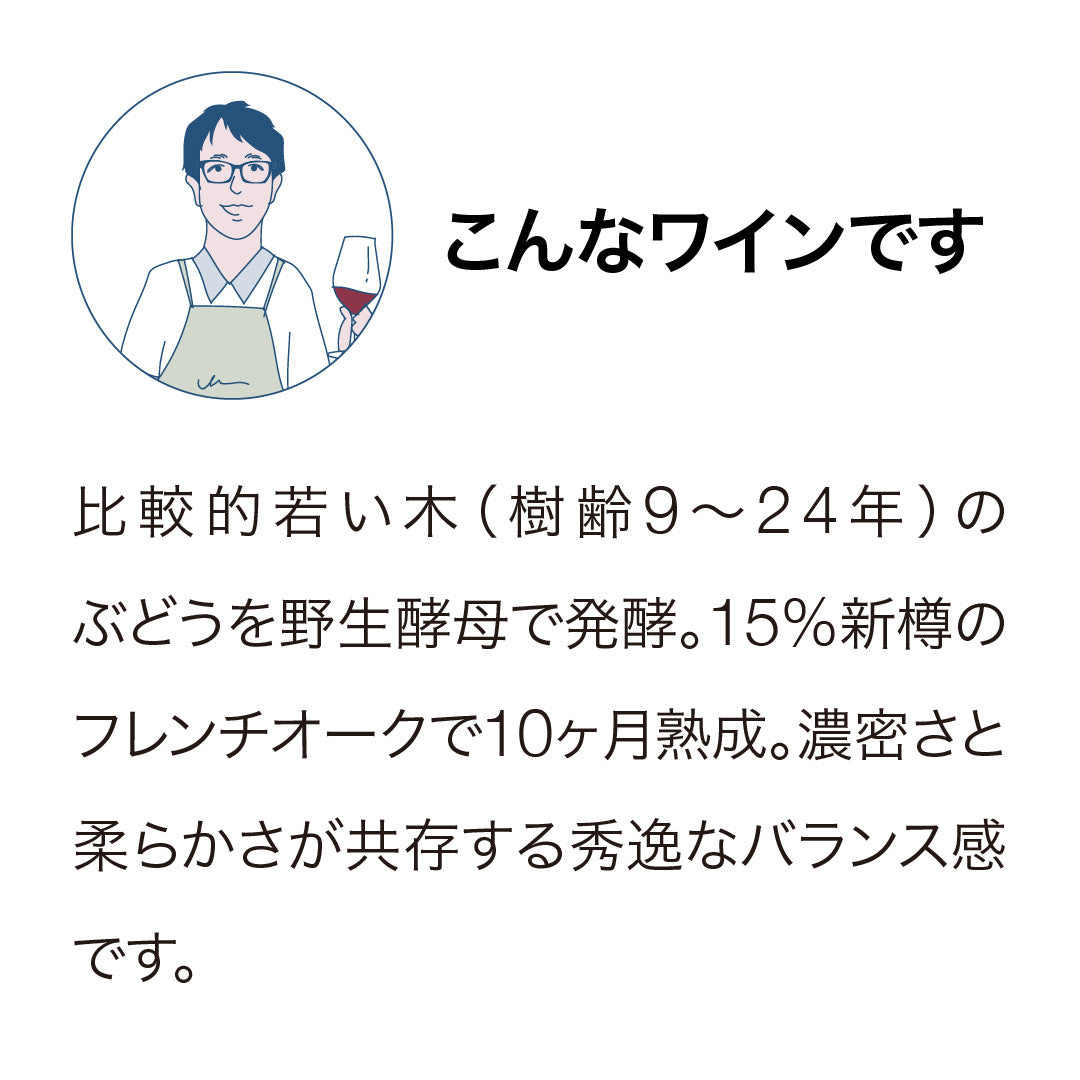 マーティンボロ・ヴィンヤード テ・テラ ピノ・ノワール 2023