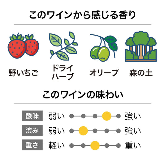 ヴァリ ヴィンヤーズ ギブストン ピノノワール 2022