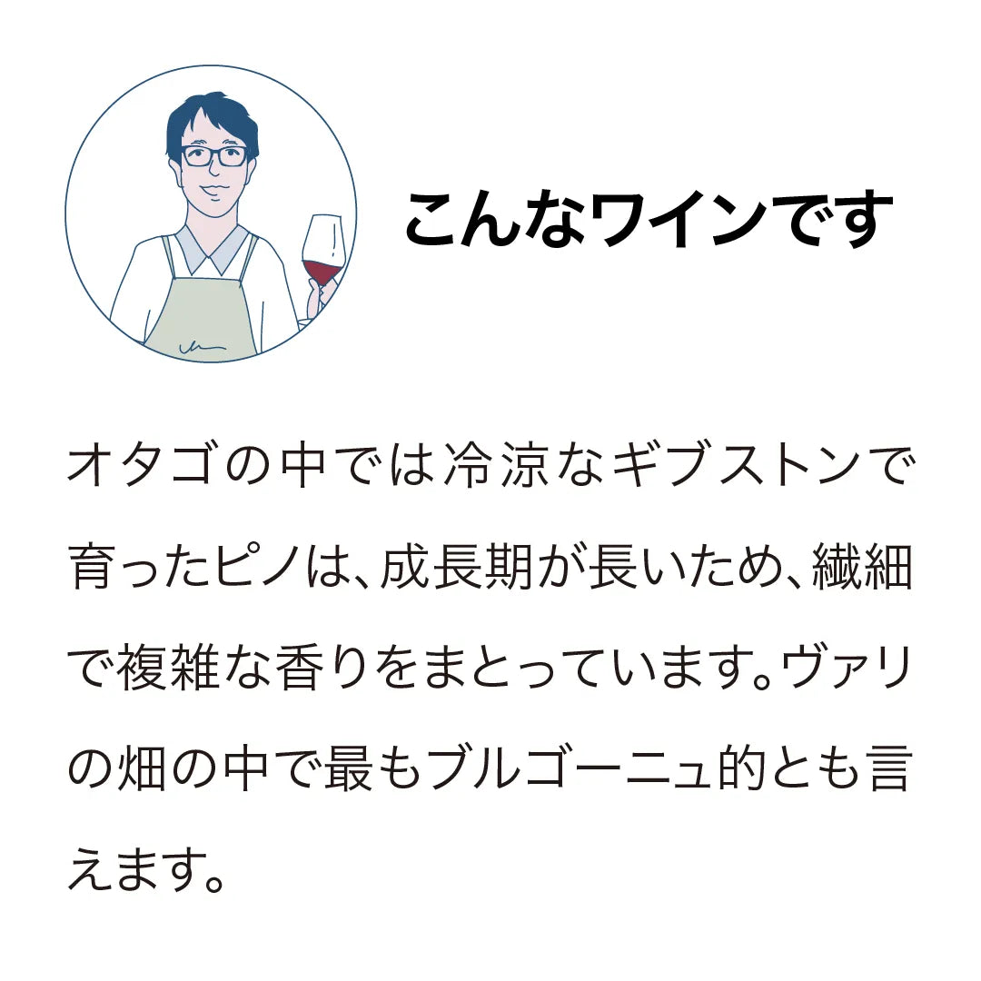 ヴァリ ヴィンヤーズ ギブストン ピノノワール 2022