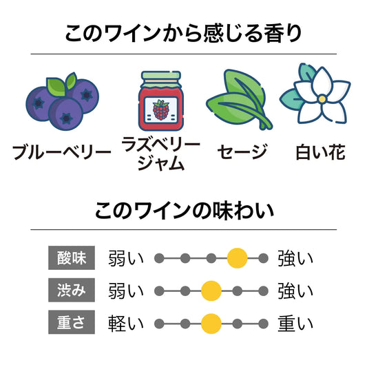 ヴァリ ヴィンヤーズ ピサ ピノ・ノワール 2023