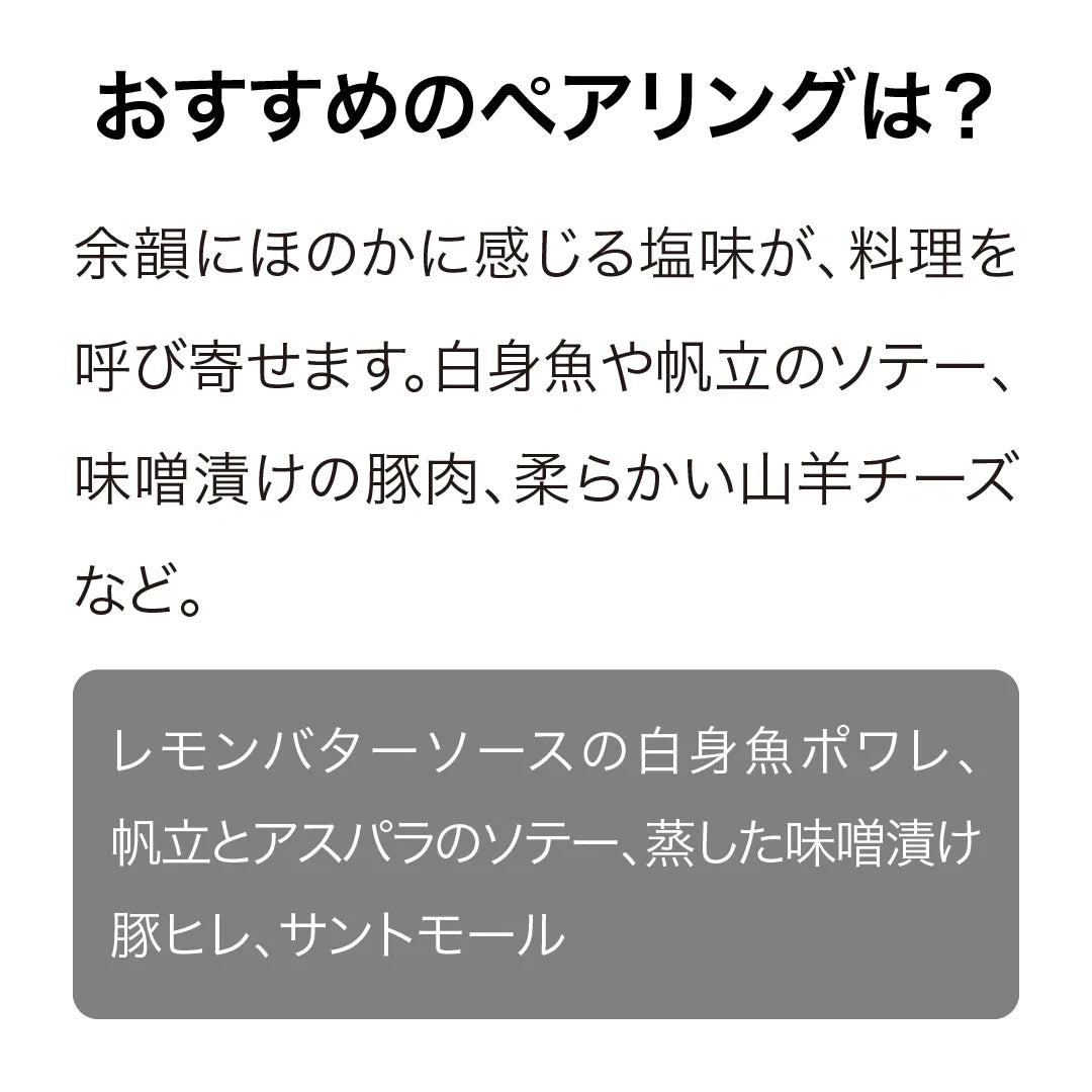 ヴァリ ヴィンヤーズ ワイタキ ピノ・グリ 2024