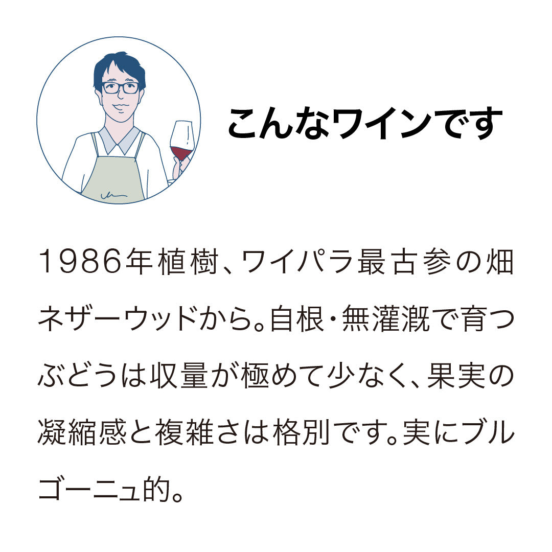 ブラックエステート ネザーウッド ピノ・ノワール 2023