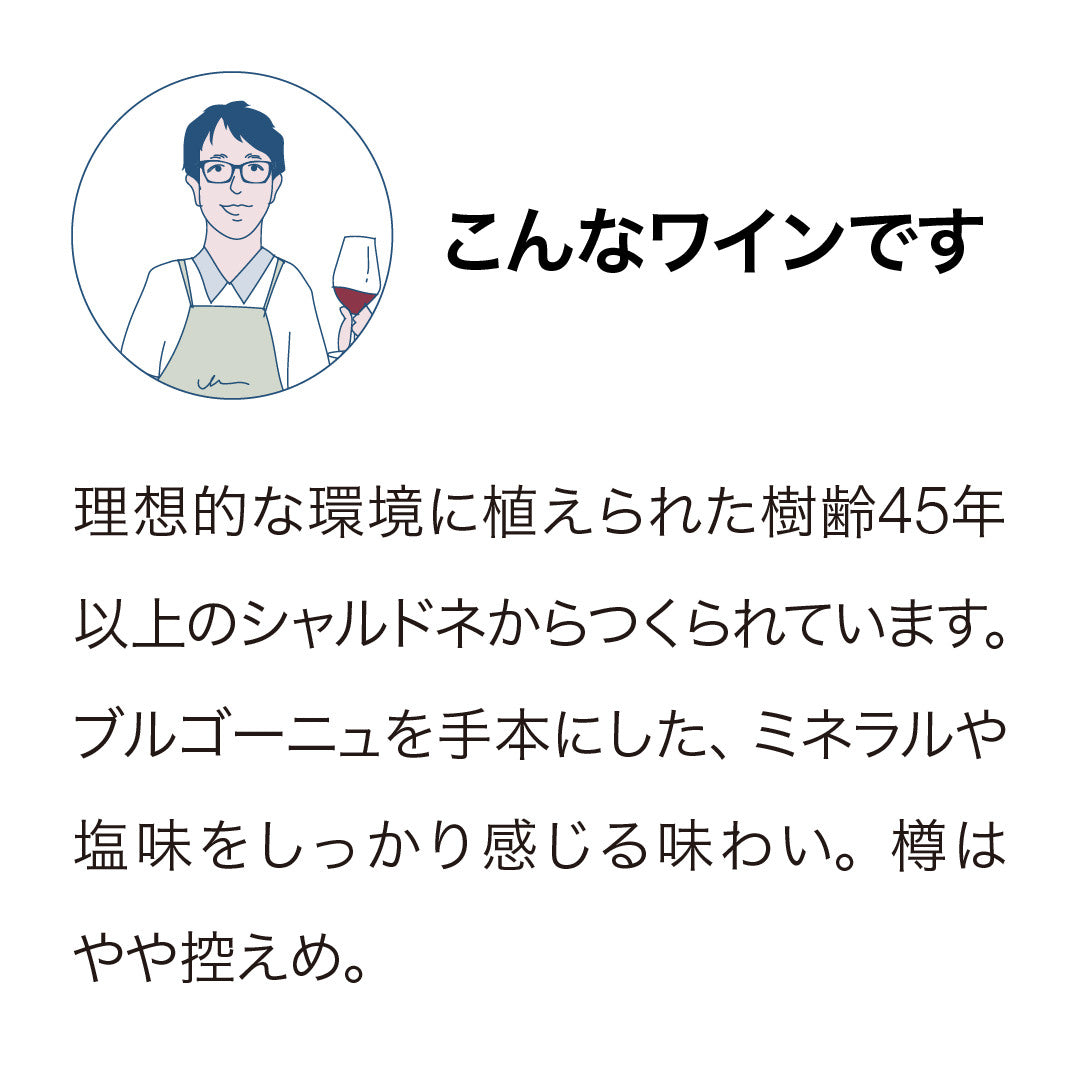 ノヴム リバーブルック ヴィンヤード シャルドネ 2024