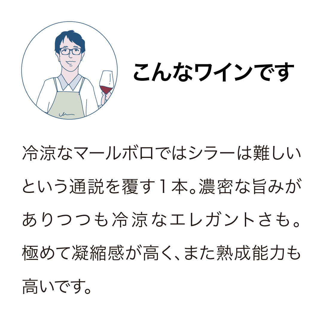 ノヴム マールボロ バスケットプレス シラー2023