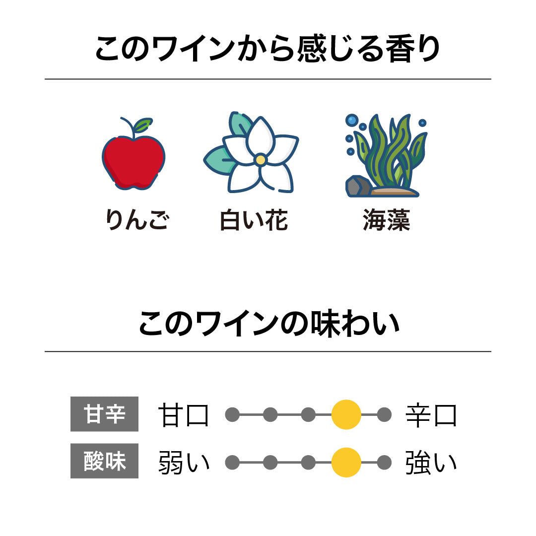 ヴァンダル ゴンゾー ペットバット 2023