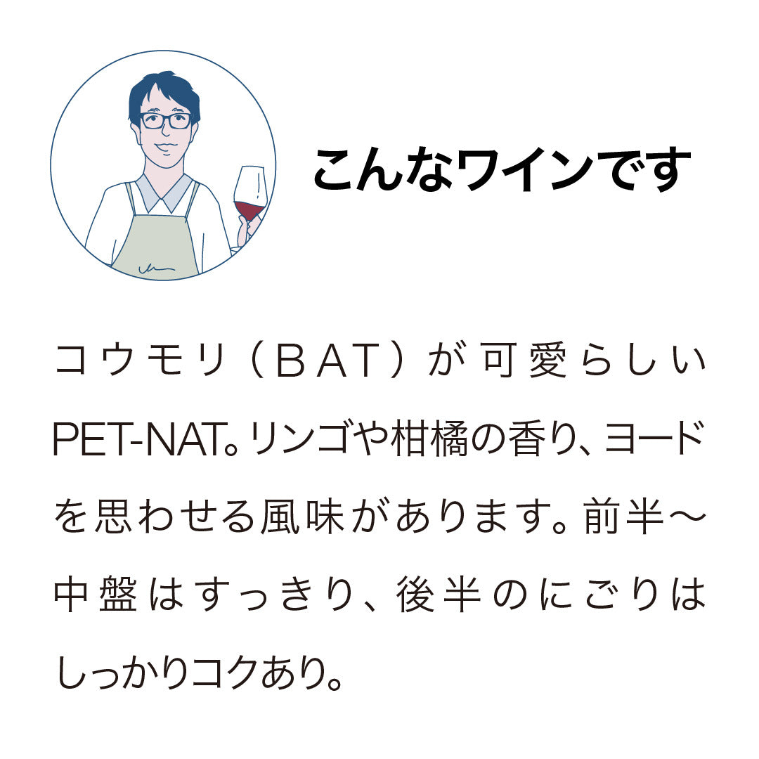 ヴァンダル ゴンゾー ペットバット 2023
