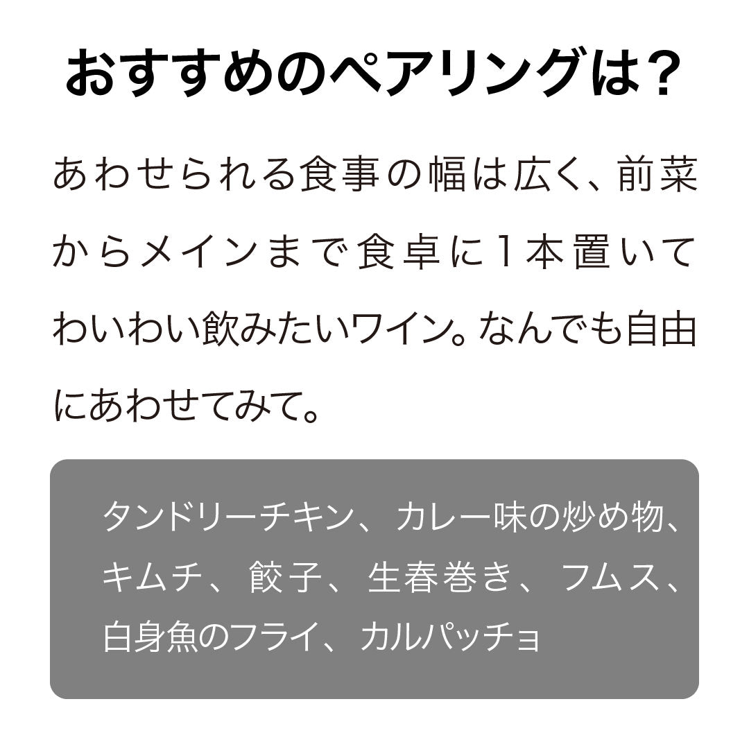 ヴァンダル ゴンゾー ペットバット 2023