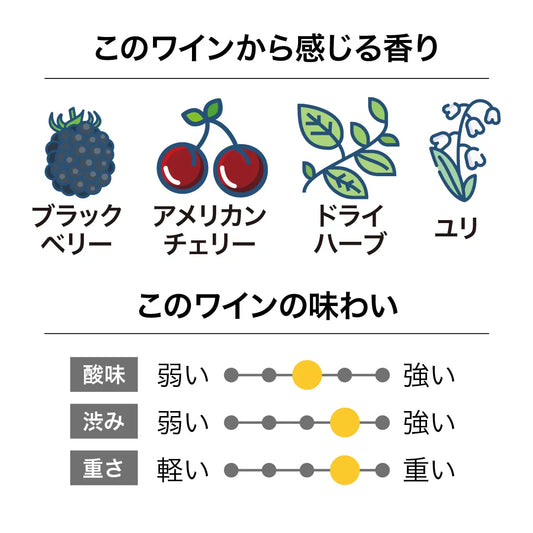 ヴァリ ヴィンヤーズ バノックバーン ピノノワール 2023