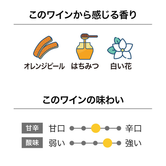 キムラセラーズ ネルソン アルバリーニョ 2025
