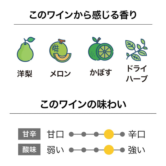 キムラセラーズ NICOシリーズ ソーヴィニヨン・ブラン 2026