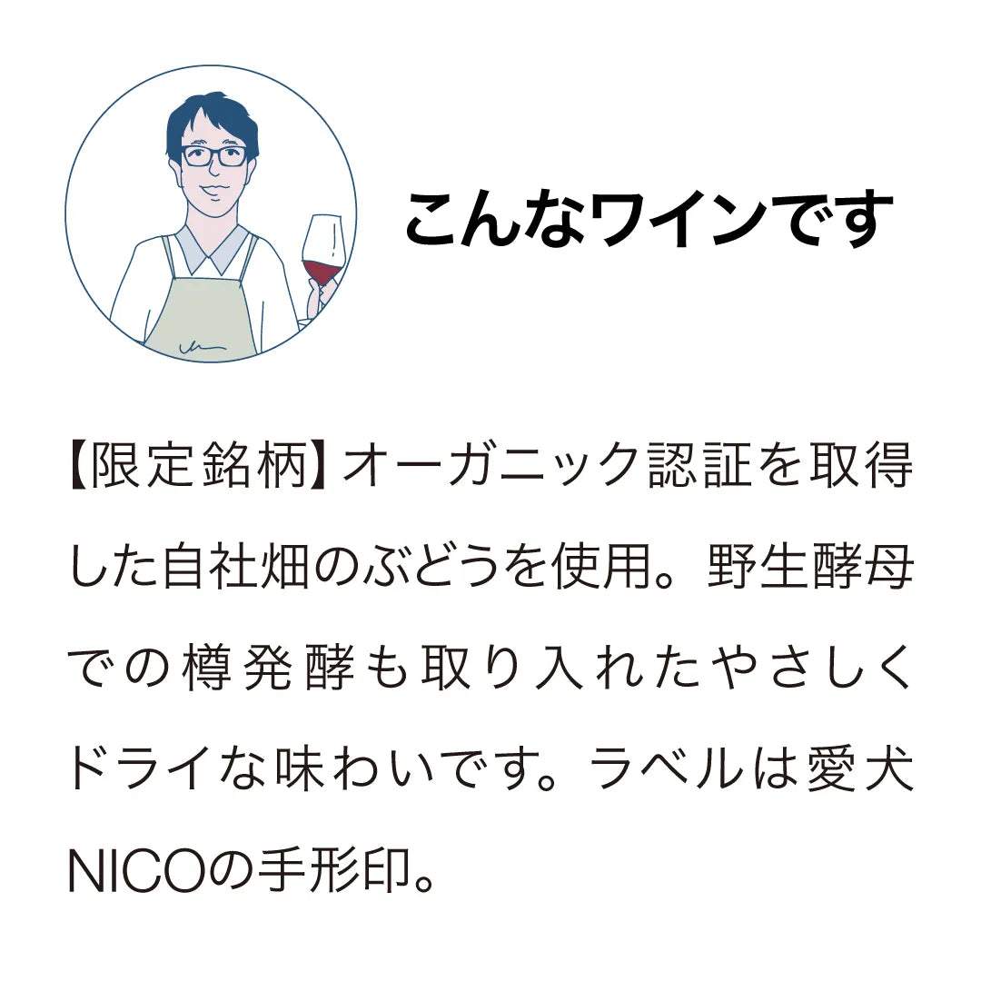 キムラセラーズ NICOシリーズ ソーヴィニヨン・ブラン 2026