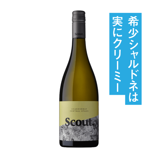 スカウト シャルドネ 2023
