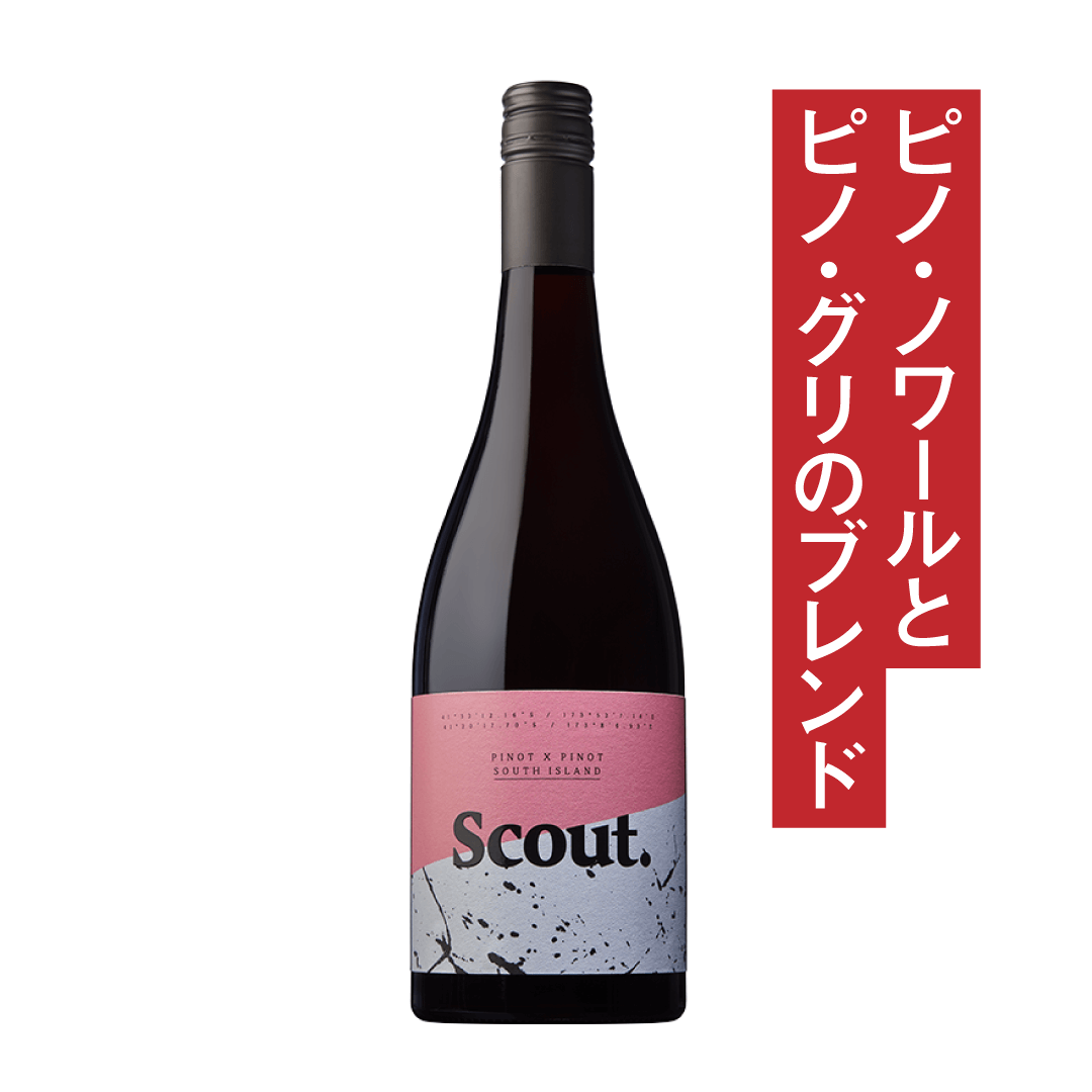 スカウト セントラル・オタゴ ピノ×ピノ 2023 - ニュージーランド スカウト セントラル・オタゴ ピノ×ピノ 2023 - ニュージーランド
