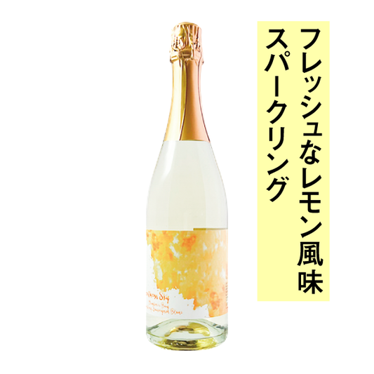 Southern Sky Hawke's Bay Sauvignon Blanc Sparkling 2023
