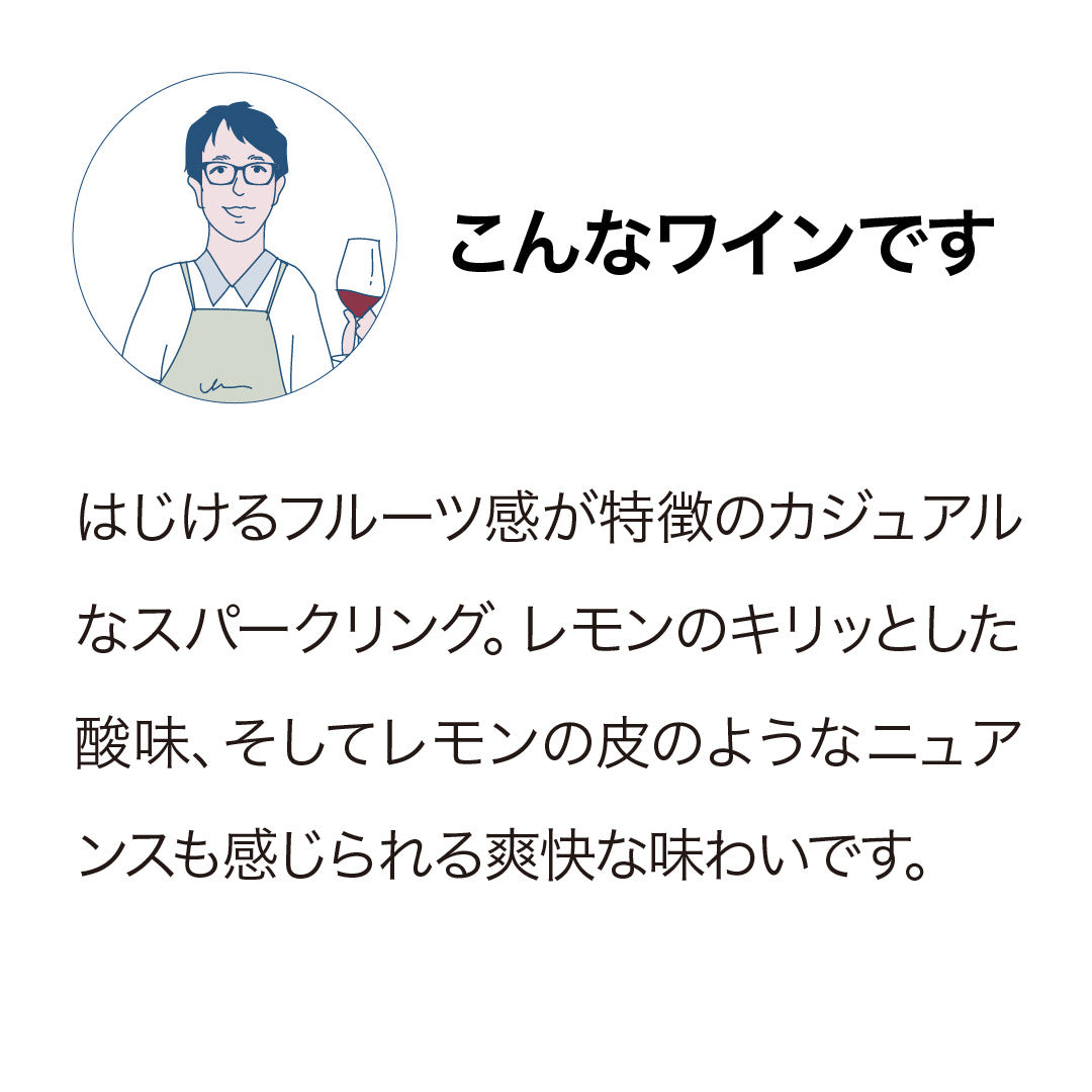 Southern Sky Hawke's Bay Sauvignon Blanc Sparkling 2025