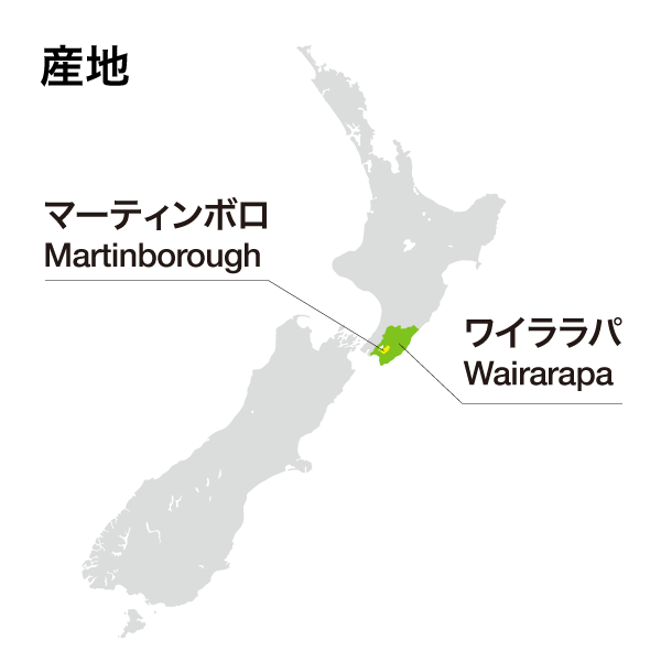 アタ ランギ クリムゾン ノワール ピノノワール ニュージーランド ハーフボトル 375ml 2019 赤ワイン ピノ スクリューキャップ 