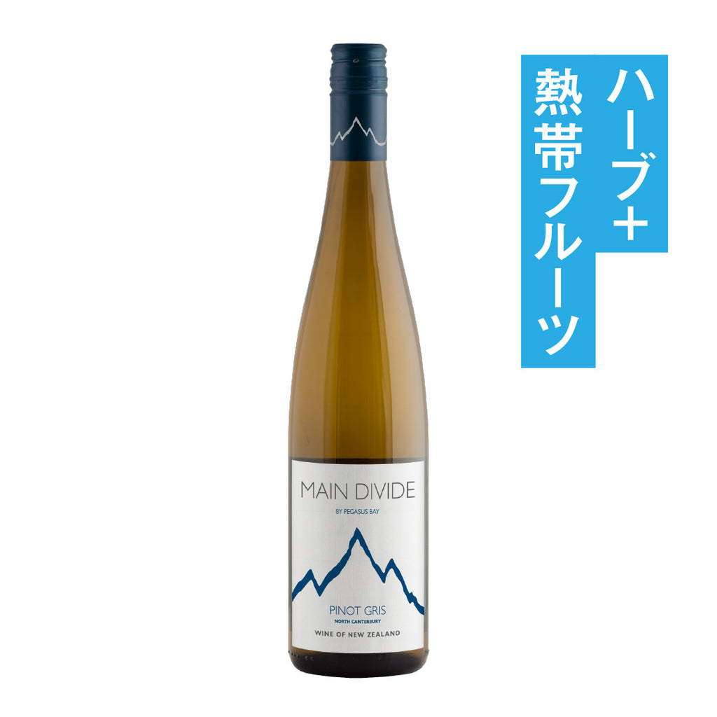 メイン ディヴァイド ピノ・グリ 2023