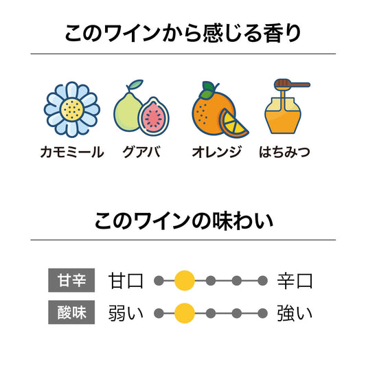 メイン ディヴァイド ピノ・グリ 2023