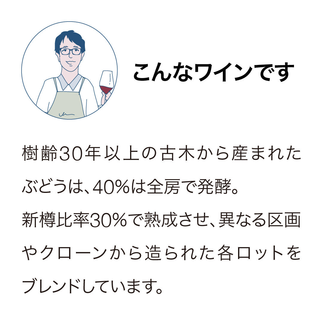 ペガサスベイ ピノ・ノワール 2022