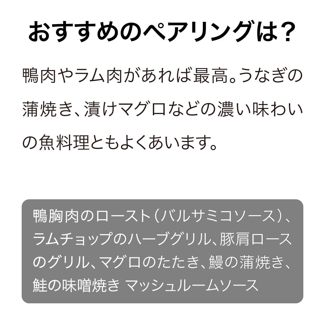 ペガサスベイ ピノ・ノワール 2022