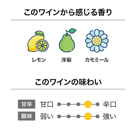 Folium Sauvignon Blanc Reserve 2023