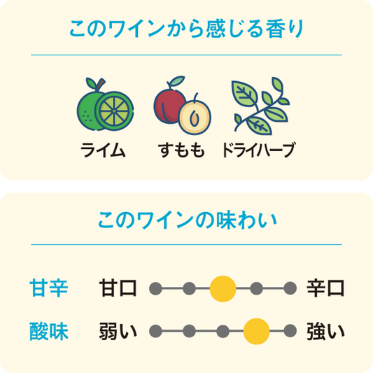 アンツフィールド シングルヴィンヤード ソーヴィニヨン・ブラン 2023